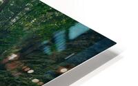 Watkins Glen State Park HD Metal print