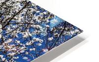 Mature Magnolia Mamma HD Metal print