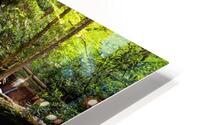 Blue Ridge Duggers Knob Waterfall HD Metal print