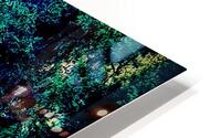 New Light HD Metal print