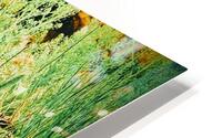 The Observer Observed HD Metal print