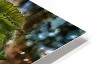 Unfolding - Maine Botanical Wall Art HD Metal print
