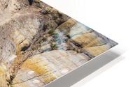 Badlands Bison HD Metal print