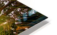 Meandering through the Costa Rica Jungle Beach HD Metal print