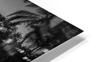 Eastern Costa Rica Caribbean Black Sand Beach HD Metal print