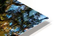 Old Sheldon Church Tombs HD Metal print