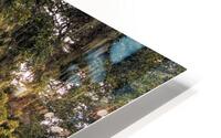 McClellanville Deerhead Live Oak Tree HD Metal print