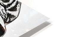 ArtX6 beauty pencil sketch enhanced HD Metal print
