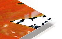 Abstract Orange Daisy HD Metal print