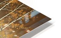 Golden Birch Trees At Dusk 4647 HD Metal print