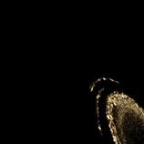 IMG 4637 HD Metal print