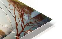 58 HD Metal print