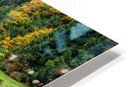 Fall Colors at a Lake in the Black Forest HD Metal print