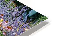 One of My favourite gardens HD Metal print