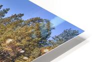 The Lake HD Metal print