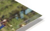 End Of Summer HD Metal print
