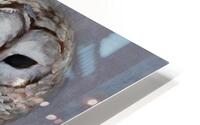 Snow Owl HD Metal print