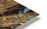 Gannochy Bridge HD Metal print