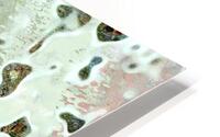 Fundoli HD Metal print