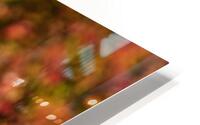 Kingfisher in Autumn Bokeh HD Metal print