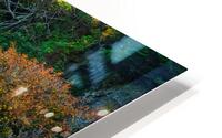 Aurore HD Metal print
