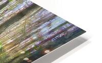 Cypress Trees and Ferns X106 HD Metal print