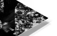 BW PRINT COLLECTION027 HD Metal print
