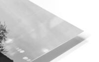 BW PRINT COLLECTION056 HD Metal print