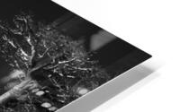 BW PRINT COLLECTION007 HD Metal print