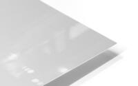 BW PRINT COLLECTION103 HD Metal print