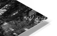 BW PRINT COLLECTION117 HD Metal print