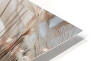 Poetry by the sea - Pampas grass in detail HD Metal print