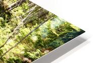 Summer Nature Path in the Scottish Highlands  HD Metal print