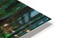 Serendipity HD Metal print
