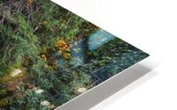 Canyon Creek HD Metal print