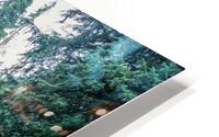 Hidden Veil HD Metal print