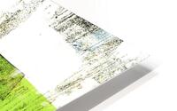 Mesa Green HD Metal print