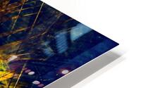Roitelet 2 HD Metal print