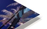 Dreamscape Palms South Beach HD Metal print