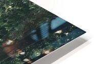 Jordan Creek Morning Light HD Metal print