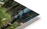 Scottish Woodland  HD Metal print