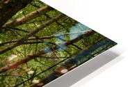 A Spring Nature Path through the Scottish Highlands HD Metal print