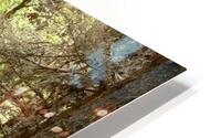 Forest Wonderland in the Scottish Highlands HD Metal print