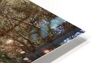 Summer Woodland in the Scottish Highlands  HD Metal print