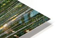 Geishas in bamboo forest HD Metal print