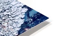 Mousse 2 HD Metal print