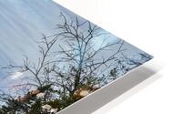 Falls by the Dam HD Metal print