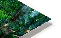 Somersby Falls HD Metal print