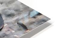 Unrest HD Metal print