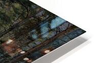 Scenes from the Trail- Autumn Dog Walk    HD Metal print